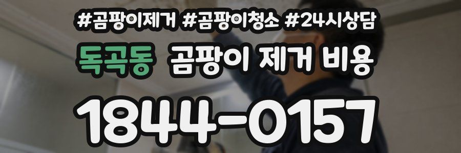 독곡동 곰팡이 제거 비용