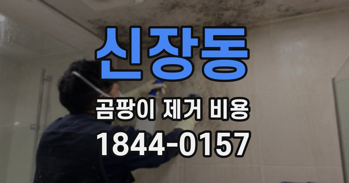 신장동 곰팡이 제거 비용