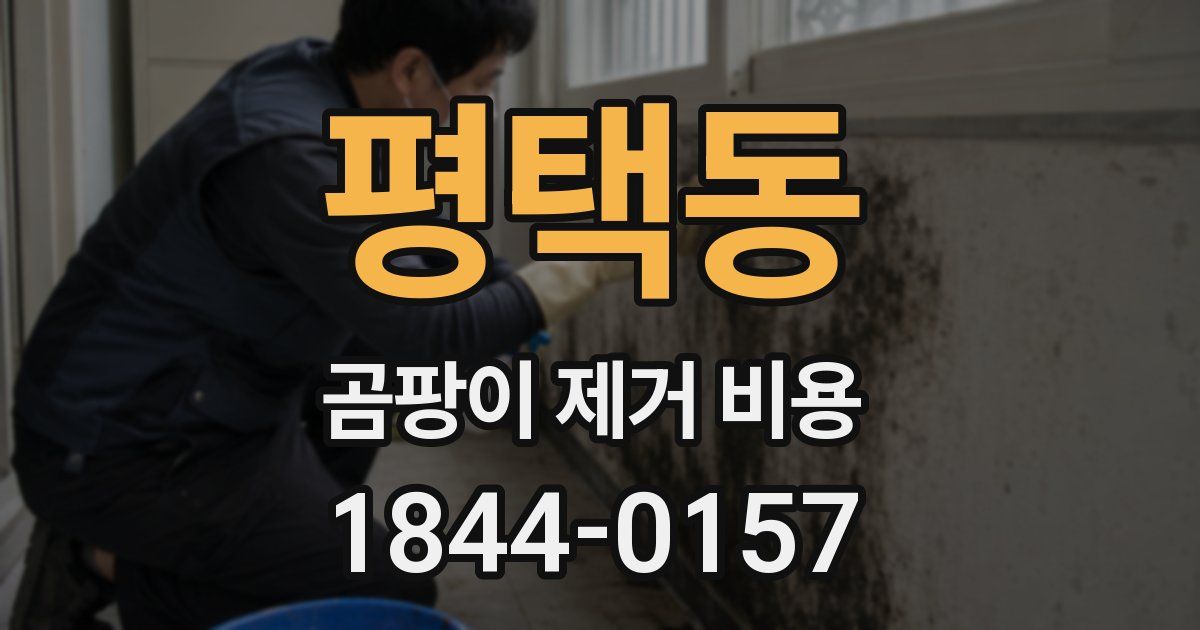 평택동 곰팡이 제거 비용