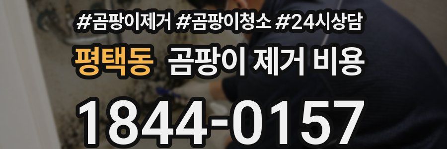 평택동 곰팡이 제거 비용