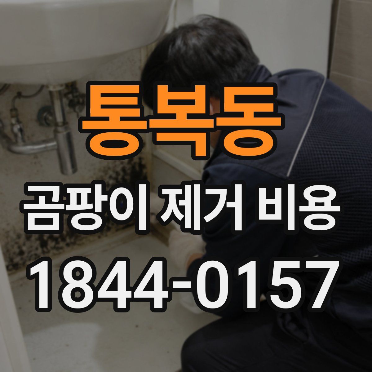 통복동 곰팡이 제거 비용