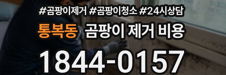 통복동 곰팡이 제거 비용