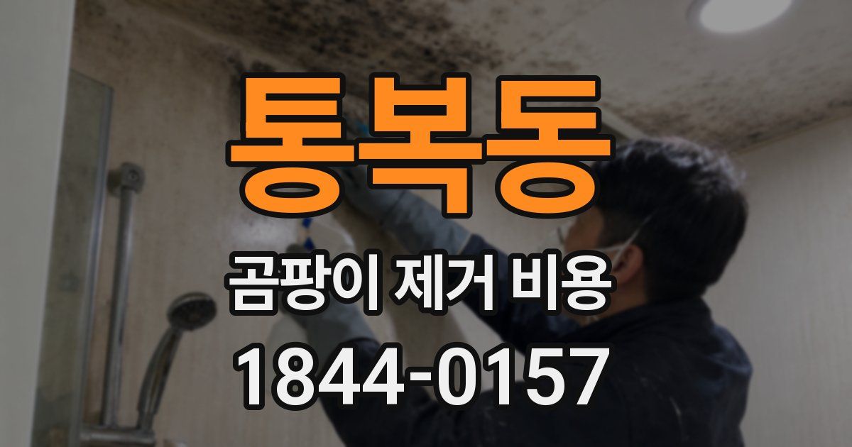 통복동 곰팡이 제거 비용