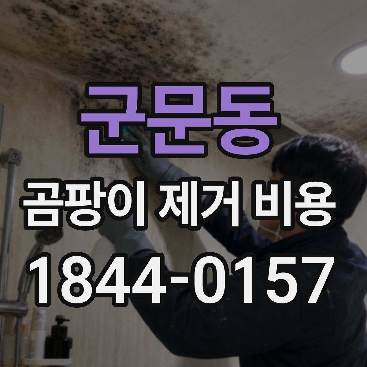 군문동 곰팡이 제거 비용 업체별 진단 방식이 다른 이유