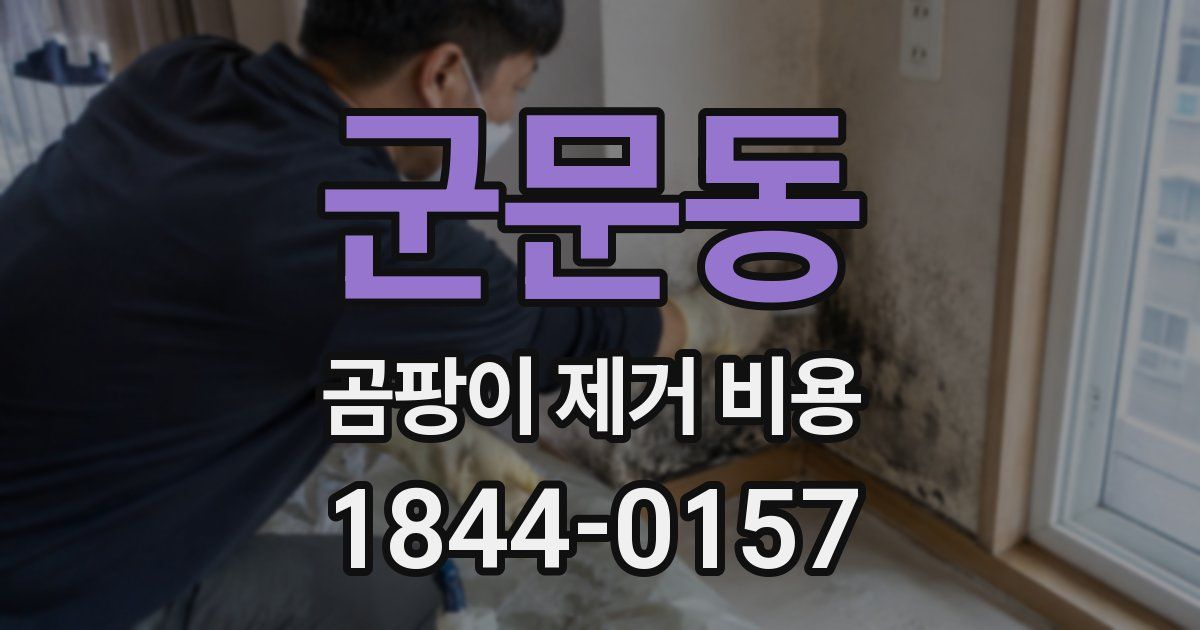 군문동 곰팡이 제거 비용