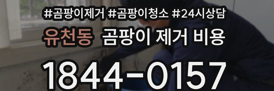 유천동 곰팡이 제거 비용