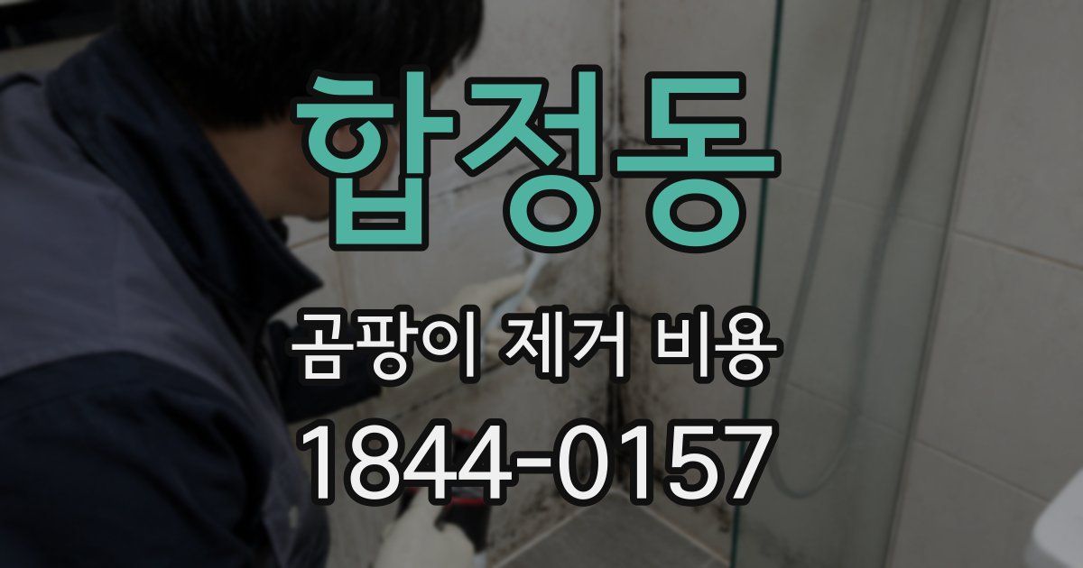 합정동 곰팡이 제거 비용