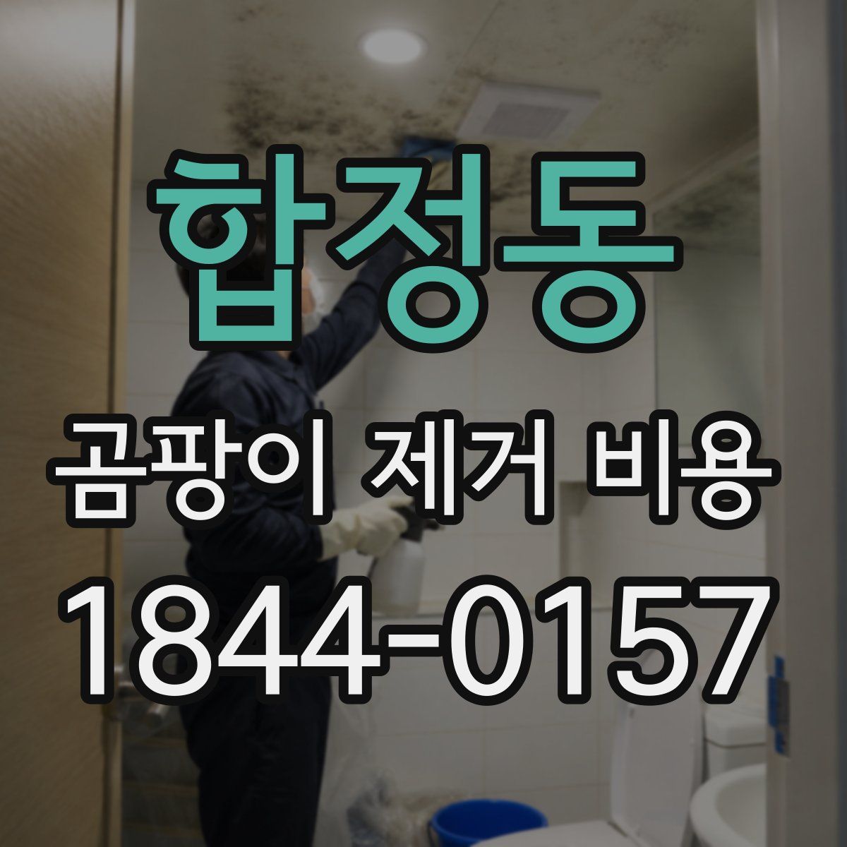 합정동 곰팡이 제거 비용