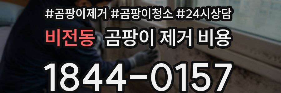 비전동 곰팡이 제거 비용