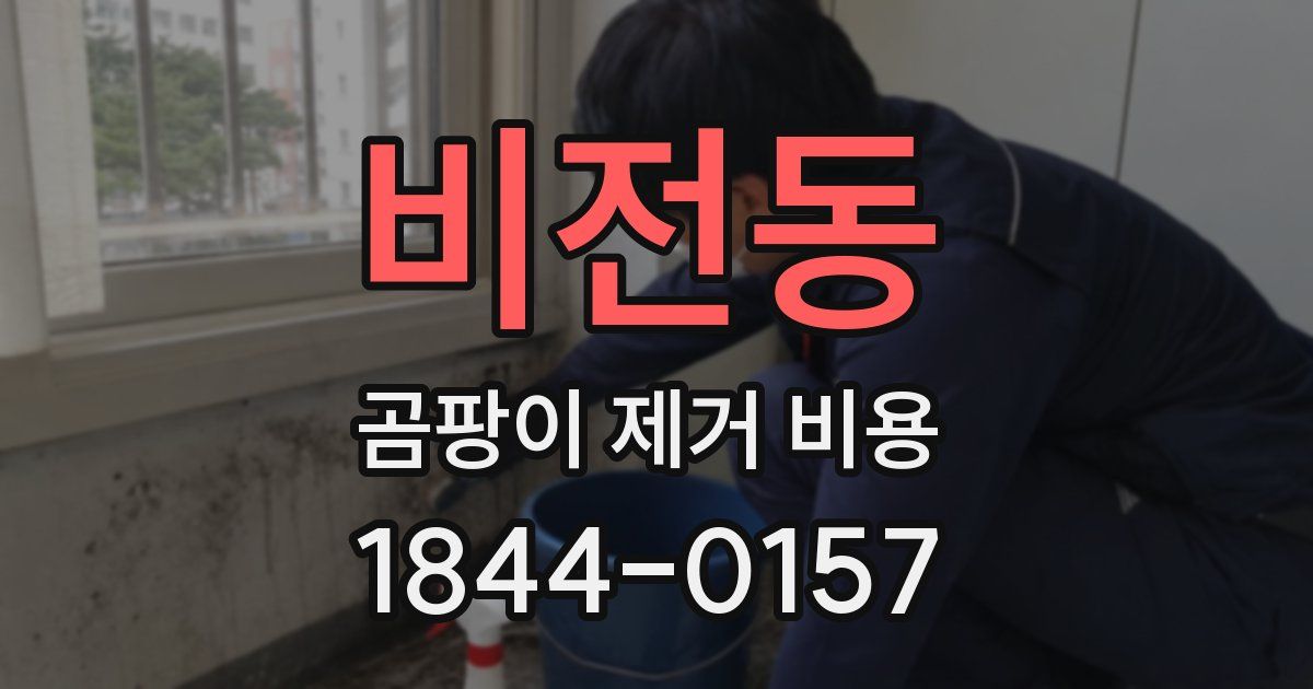 비전동 곰팡이 제거 비용