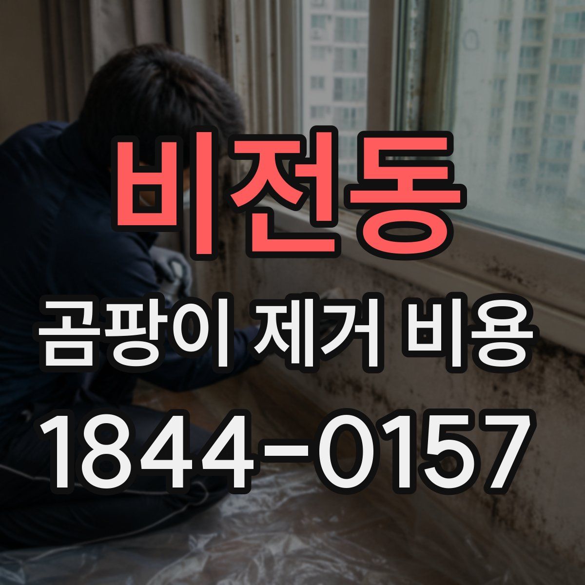 비전동 곰팡이 제거 비용