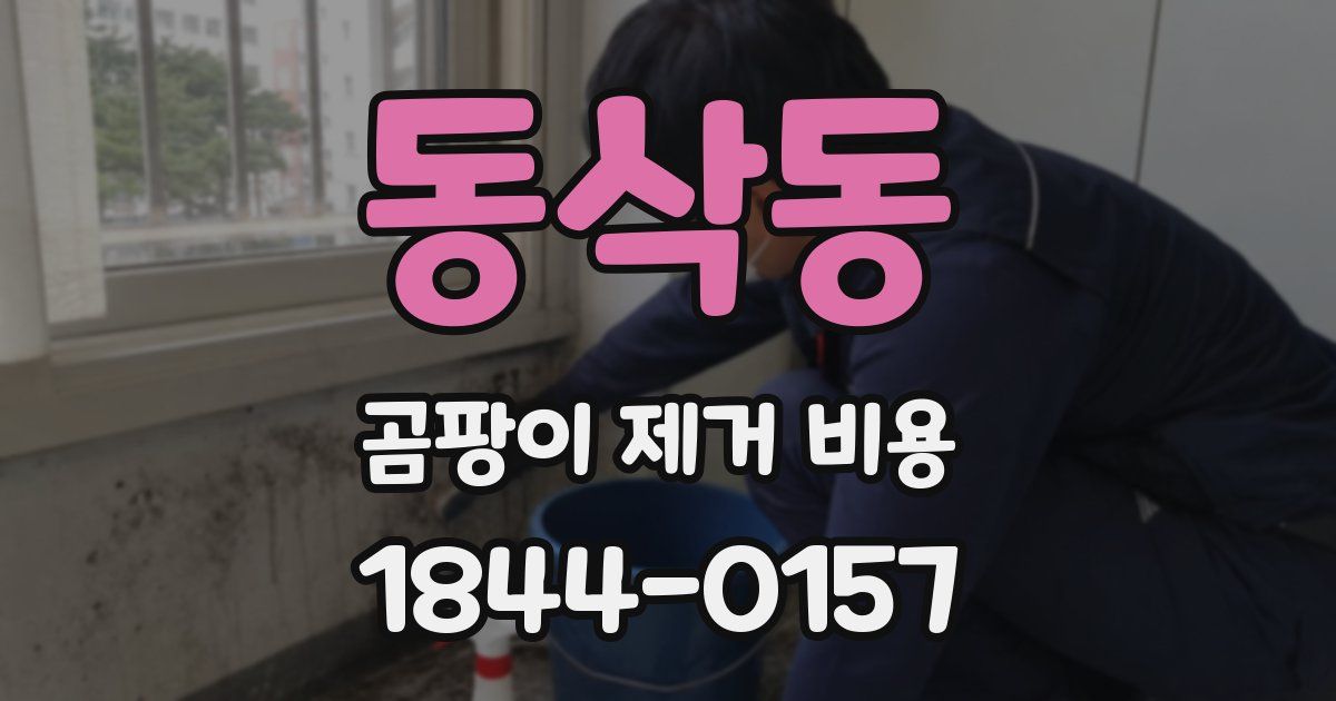 동삭동 곰팡이 제거 비용