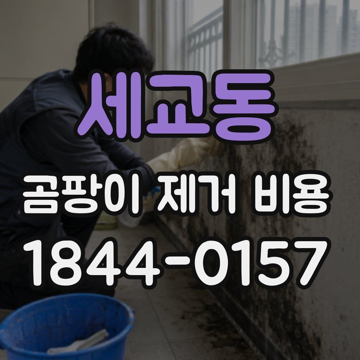 세교동 곰팡이 제거 비용 배관 누수 주변까지 확인해야 하는 까닭