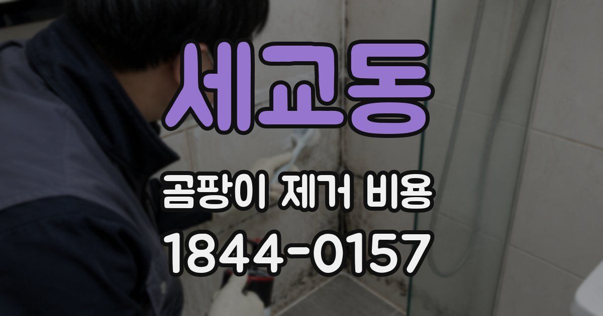 세교동 곰팡이 제거 비용