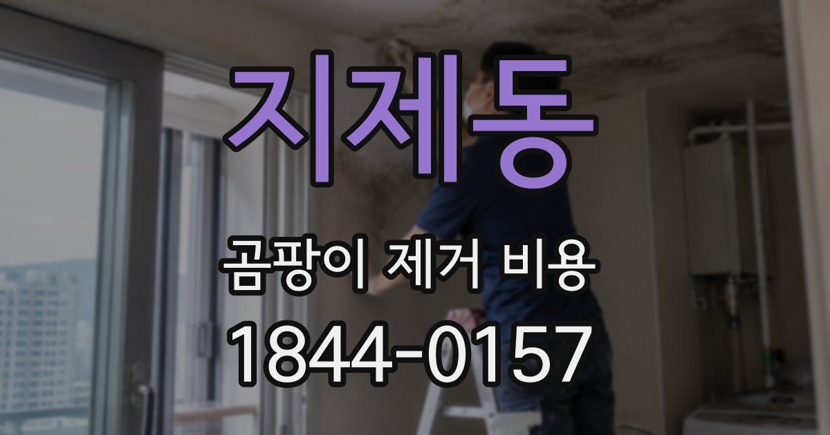지제동 곰팡이 제거 비용