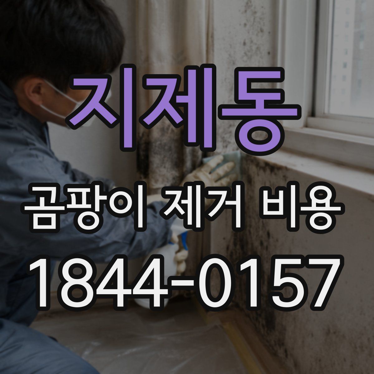 지제동 곰팡이 제거 비용