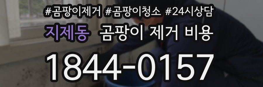 지제동 곰팡이 제거 비용