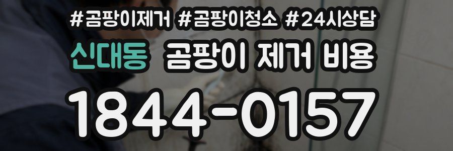 신대동 곰팡이 제거 비용