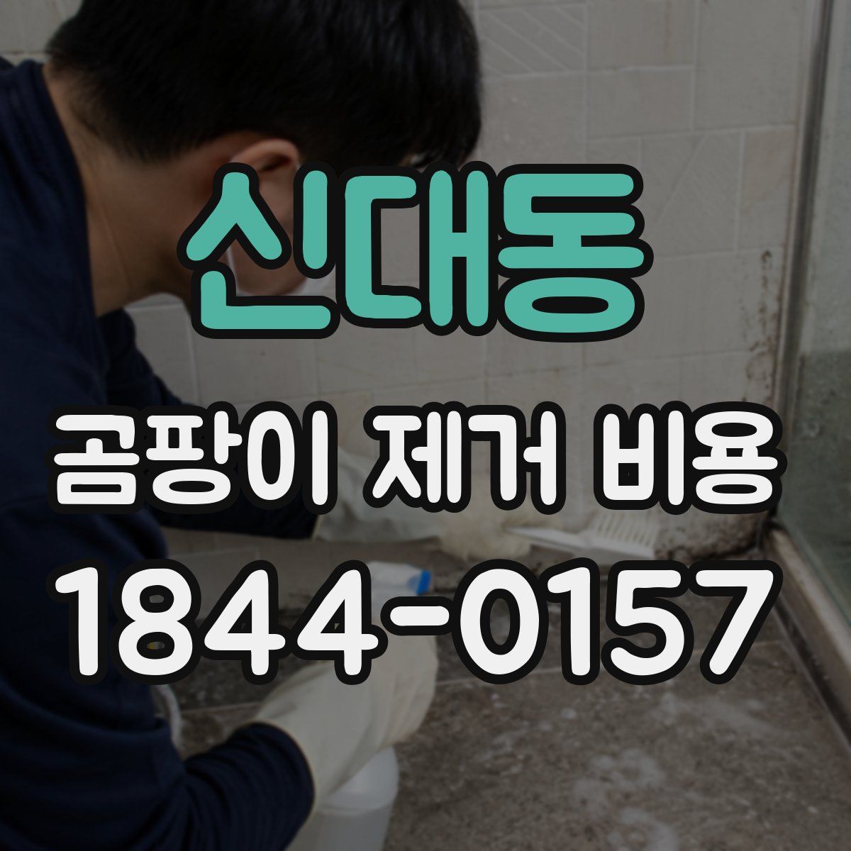 신대동 곰팡이 제거 비용