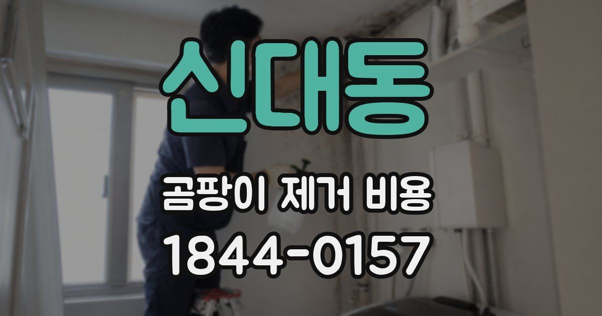 신대동 곰팡이 제거 비용