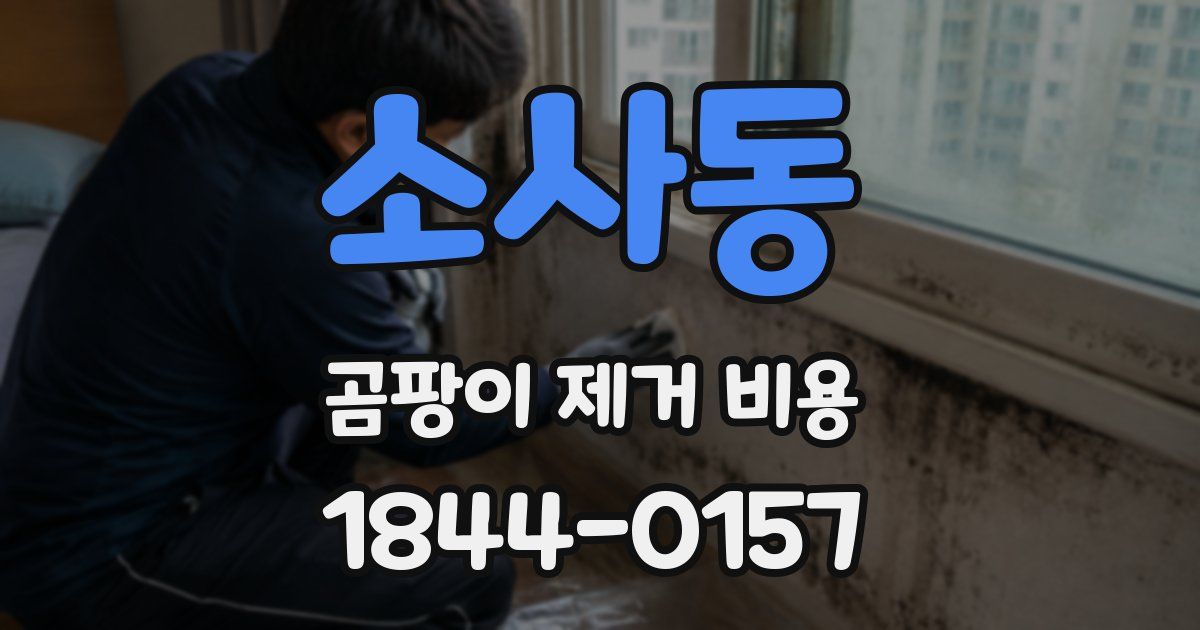 소사동 곰팡이 제거 비용