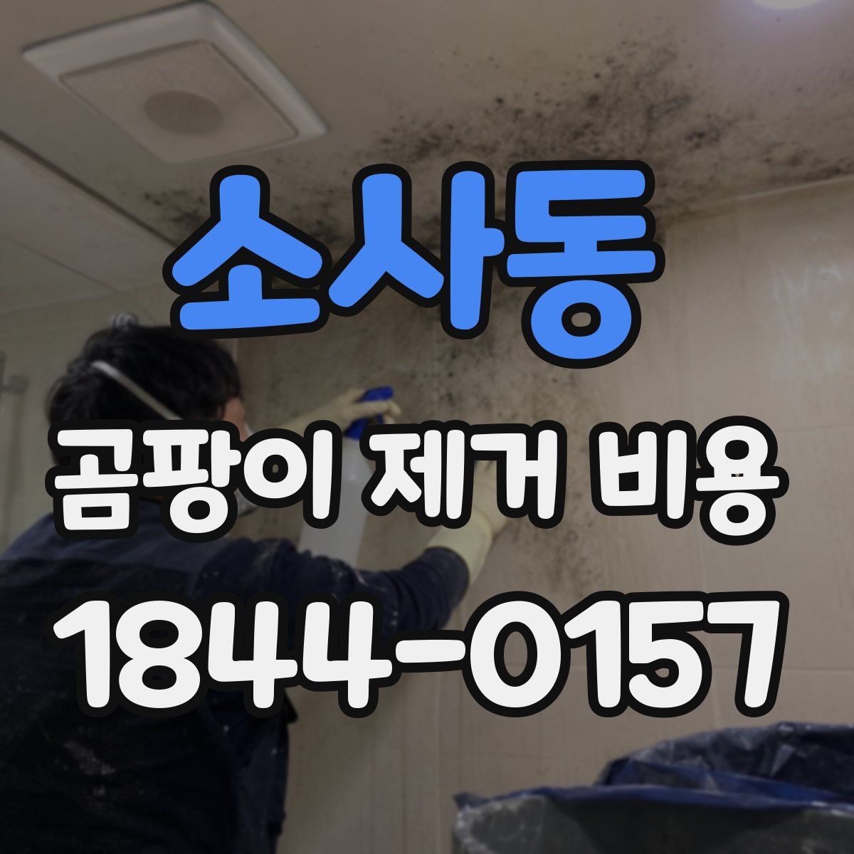 소사동 곰팡이 제거 비용