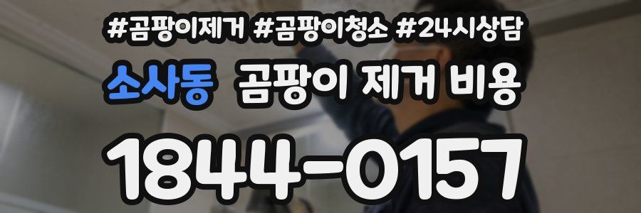 소사동 곰팡이 제거 비용