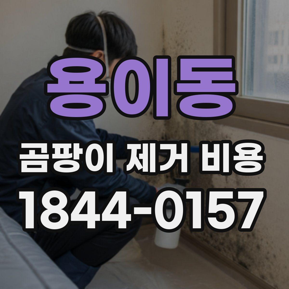 용이동 곰팡이 제거 비용 상가와 주거공간에서 달라지는 작업 방식