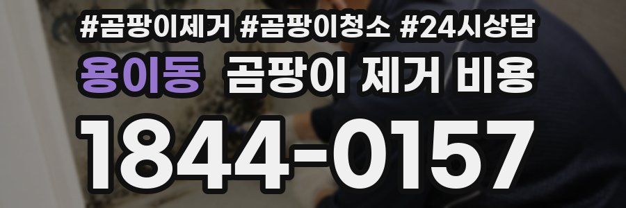 용이동 곰팡이 제거 비용