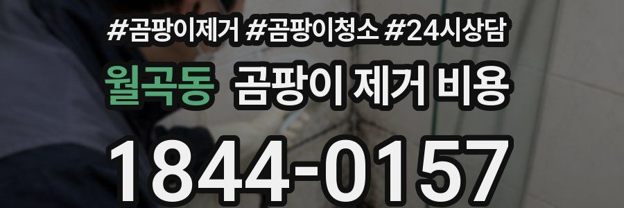 월곡동 곰팡이 제거 비용