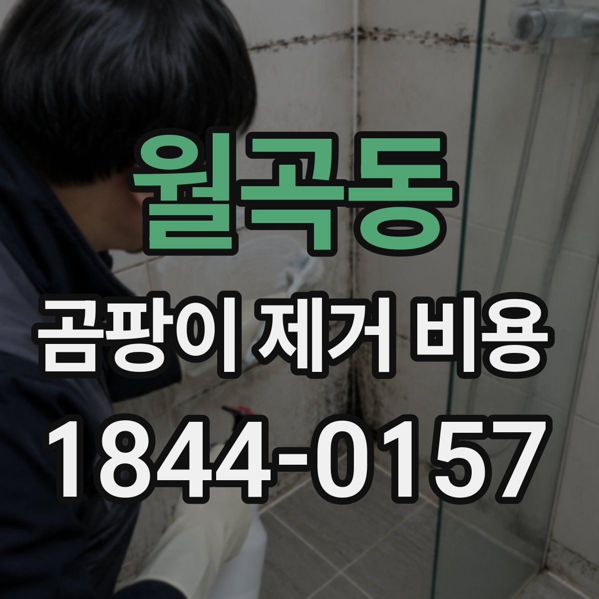 월곡동 곰팡이 제거 비용