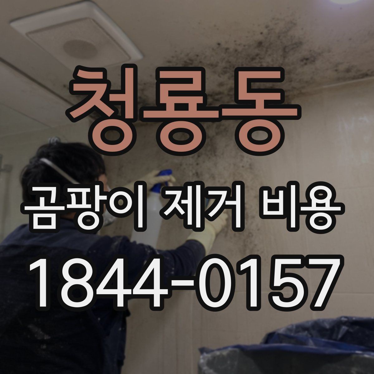 청룡동 곰팡이 제거 비용 건조 시간과 입주 일정이 함께 바뀌는 경우
