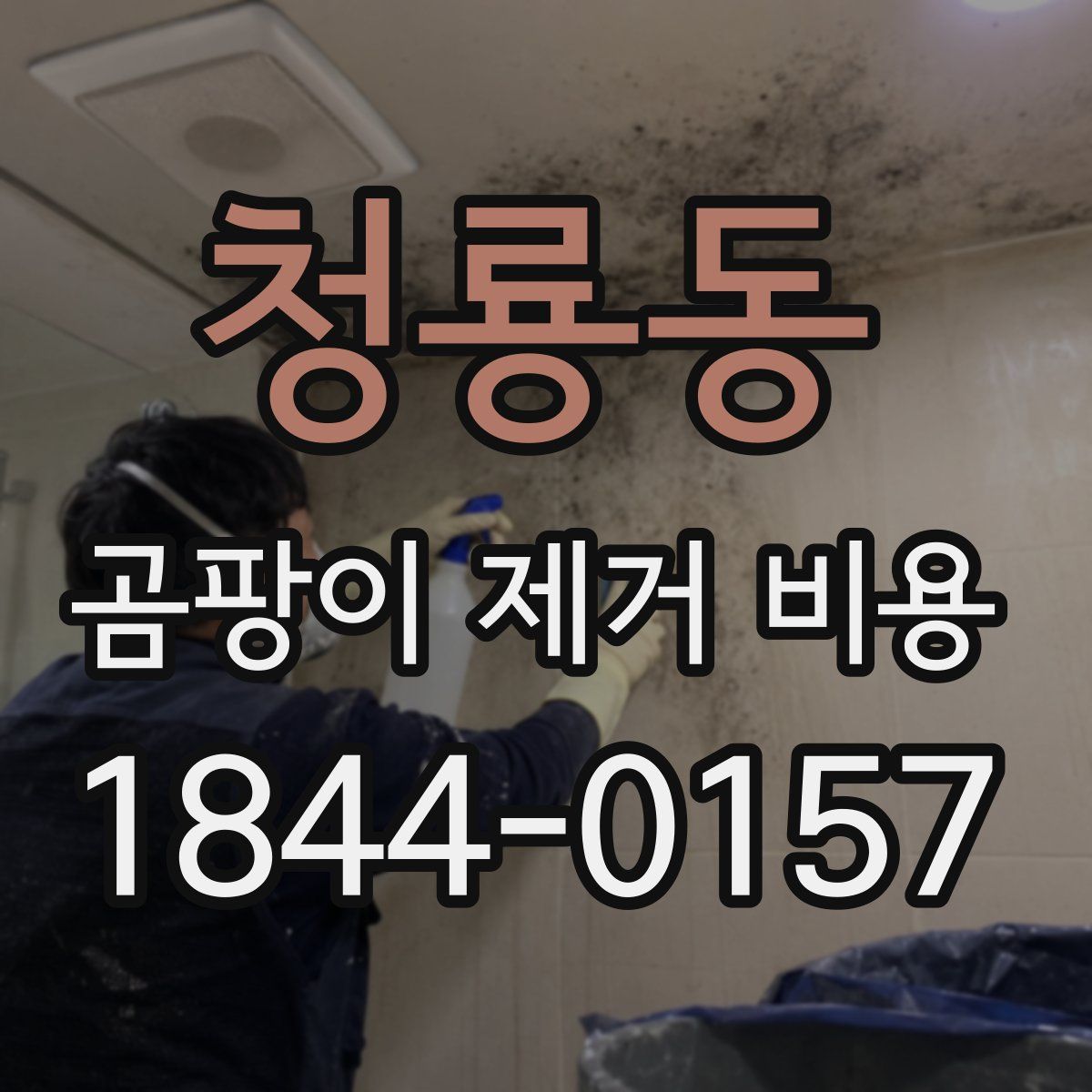 청룡동 곰팡이 제거 비용