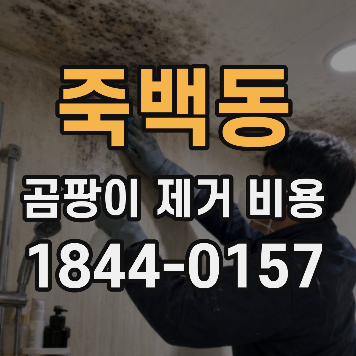 죽백동 곰팡이 제거 비용