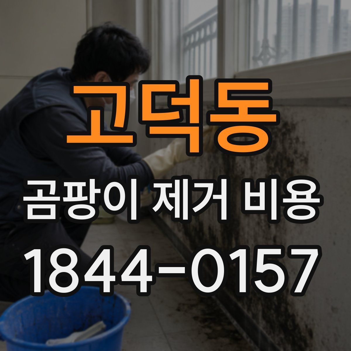 고덕동 곰팡이 제거 비용