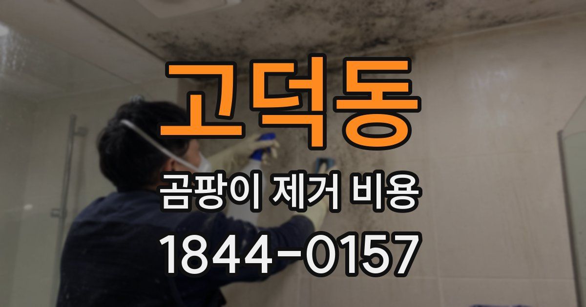 고덕동 곰팡이 제거 비용