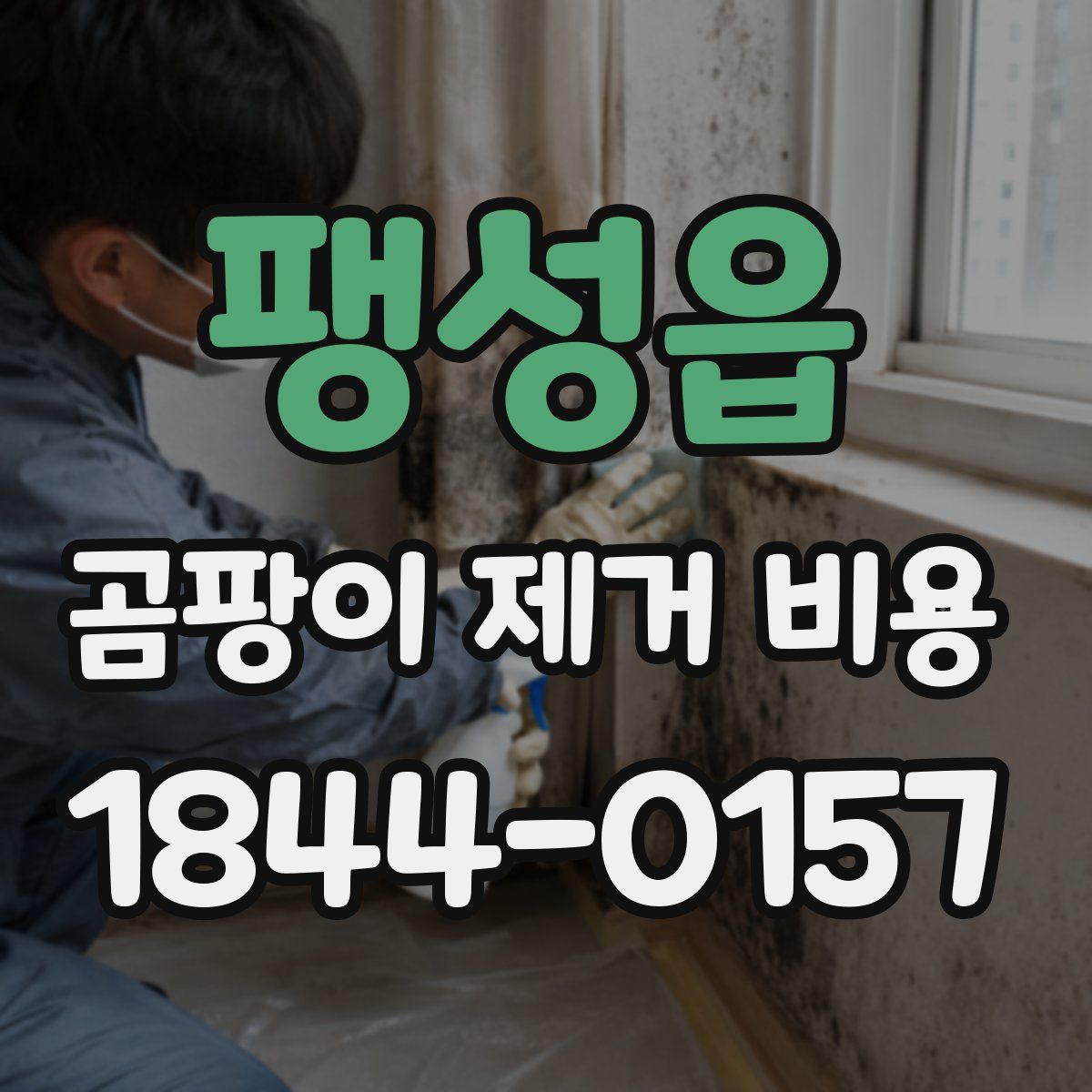 팽성읍 곰팡이 제거 비용