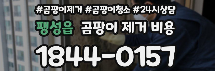 팽성읍 곰팡이 제거 비용