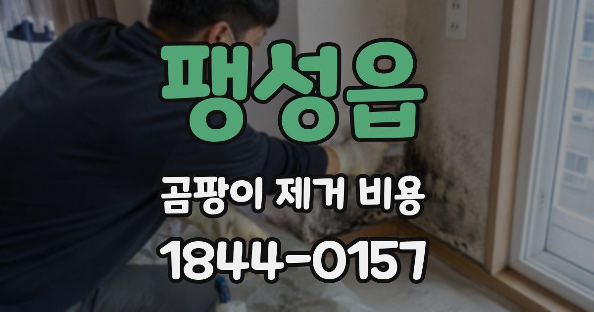 팽성읍 곰팡이 제거 비용