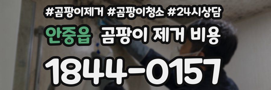 안중읍 곰팡이 제거 비용