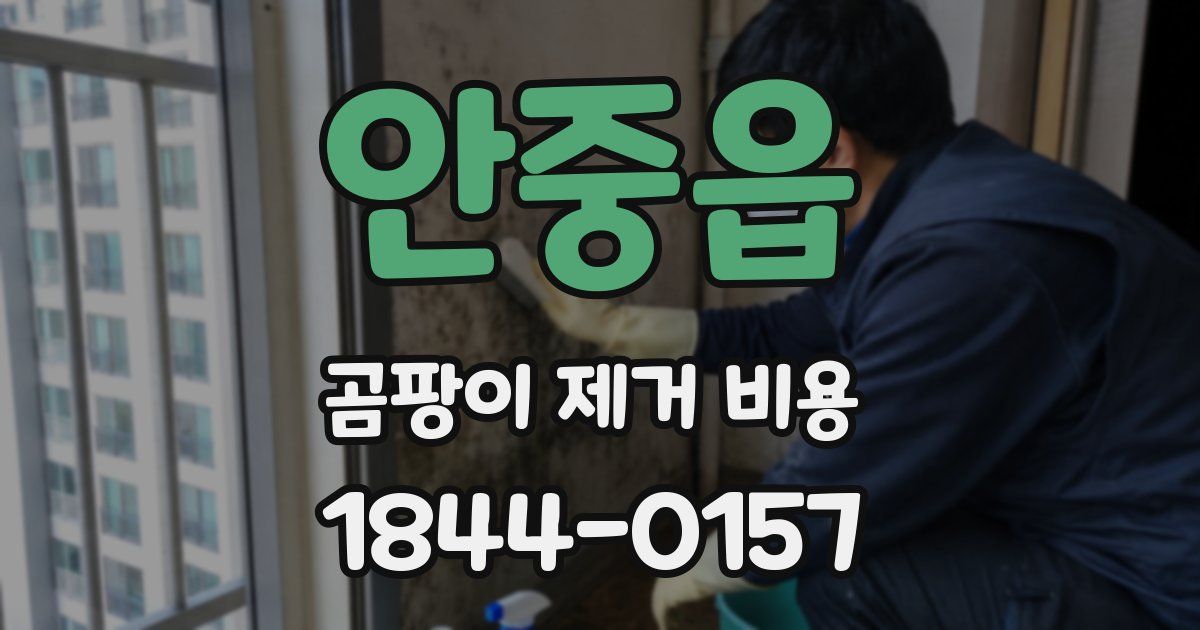안중읍 곰팡이 제거 비용
