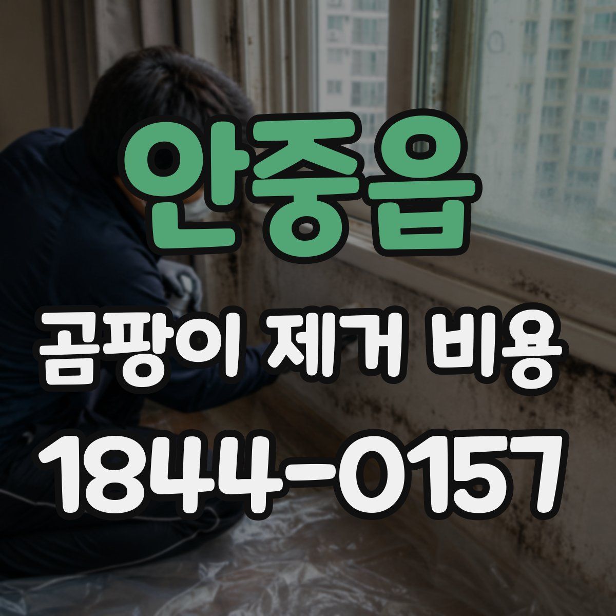 안중읍 곰팡이 제거 비용
