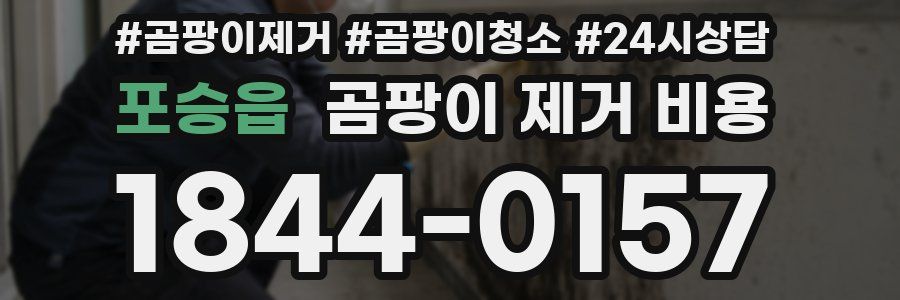 포승읍 곰팡이 제거 비용