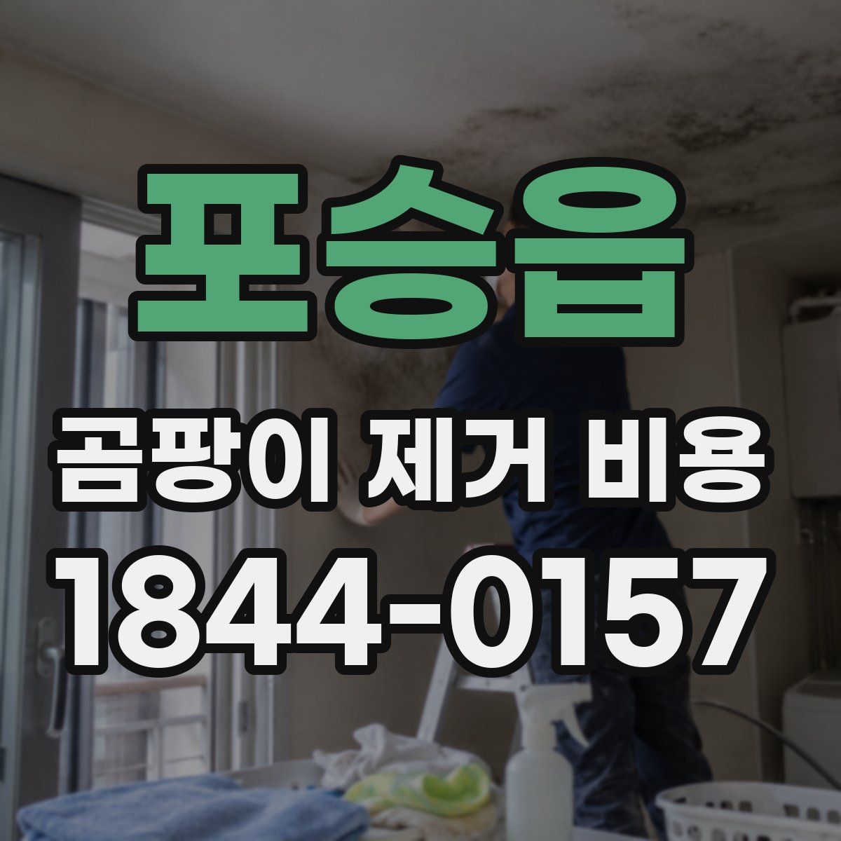 포승읍 곰팡이 제거 비용