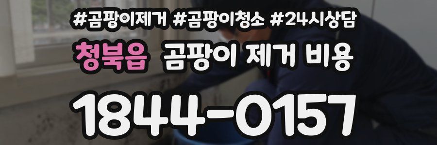 청북읍 곰팡이 제거 비용
