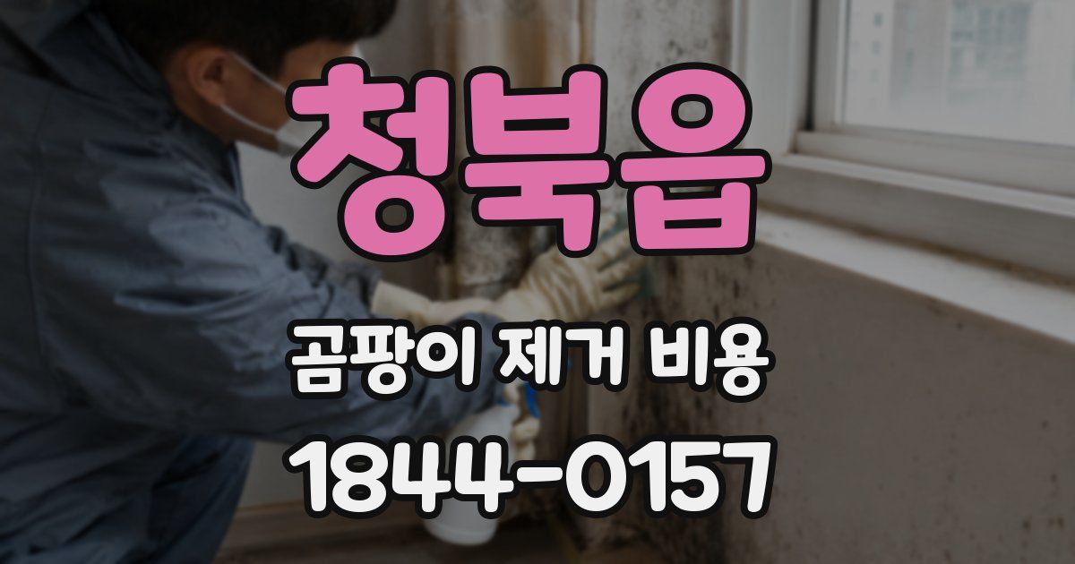 청북읍 곰팡이 제거 비용