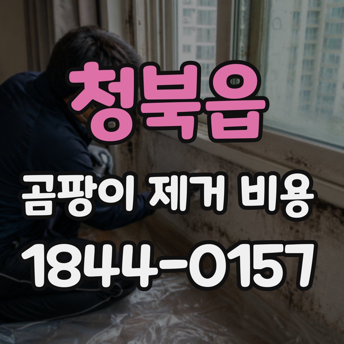 청북읍 곰팡이 제거 비용