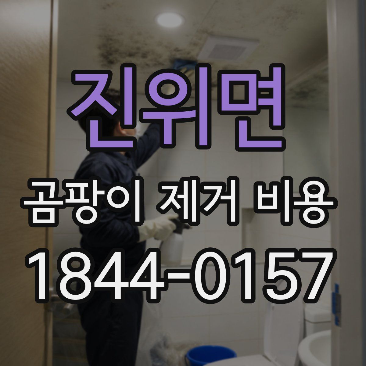 진위면 곰팡이 제거 비용