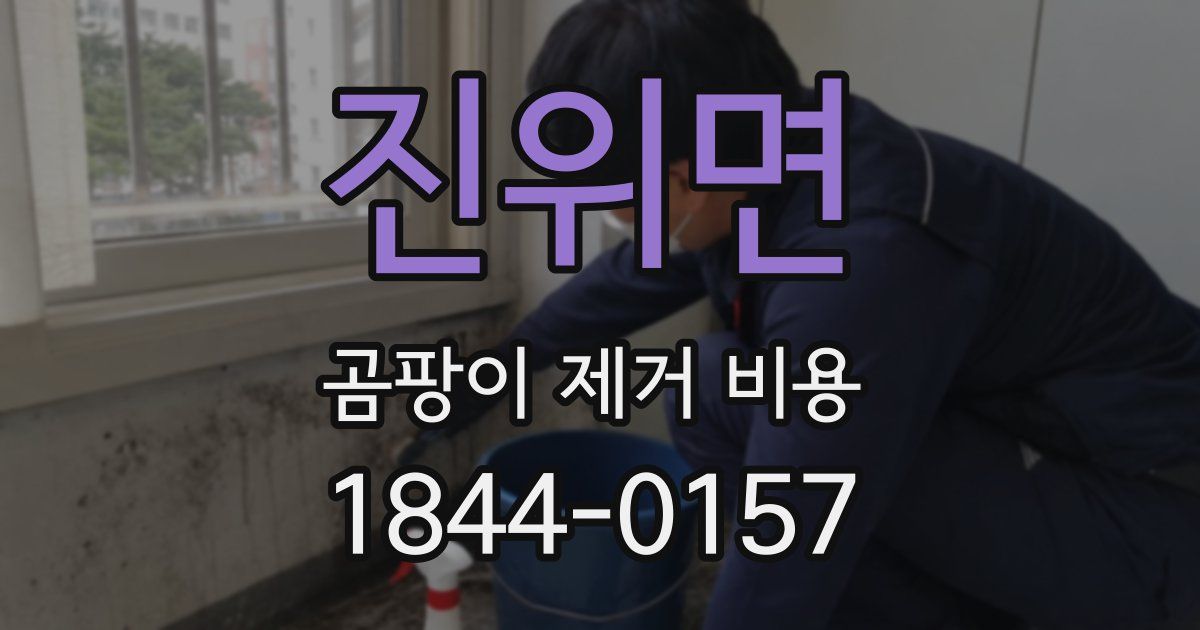 진위면 곰팡이 제거 비용