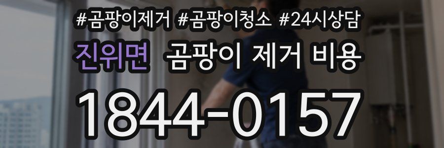 진위면 곰팡이 제거 비용
